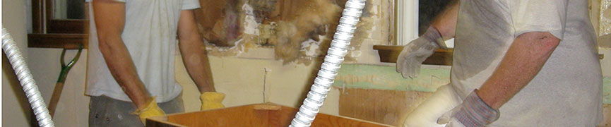 Random header image... Refresh for more!